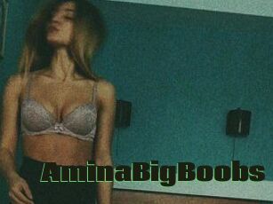 AminaBigBoobs