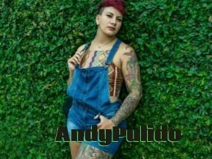 AndyPulido