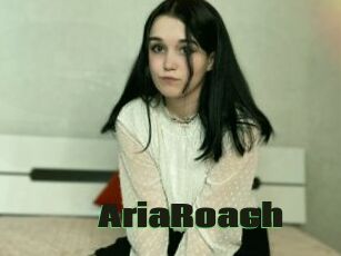 AriaRoach