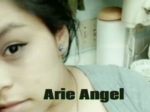 Arie_Angel