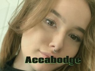 Accabodge