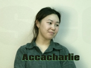 Accacharlie