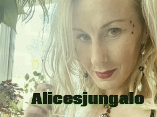 Alicesjungalo