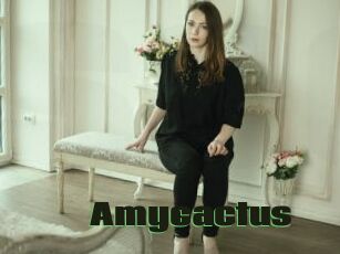 Amycactus