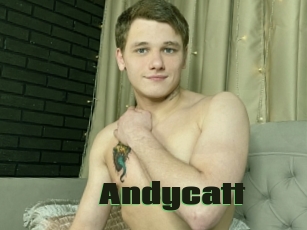 Andycatt