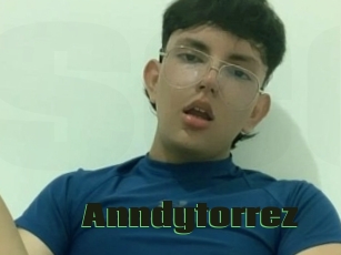 Anndytorrez