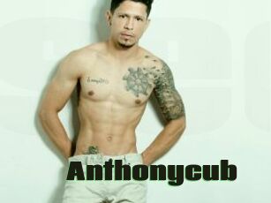 Anthonycub