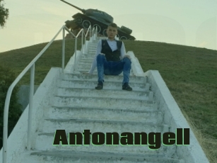 Antonangell