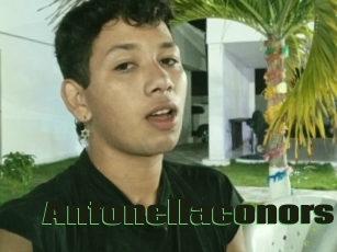 Antonellaconors