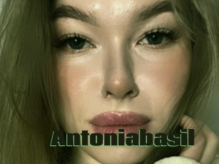 Antoniabasil