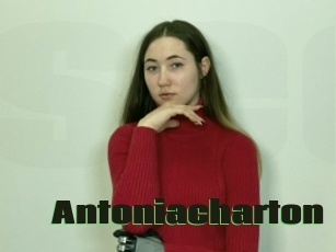 Antoniacharton