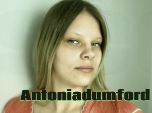 Antoniadumford