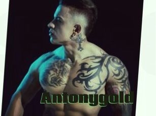 Antonygold