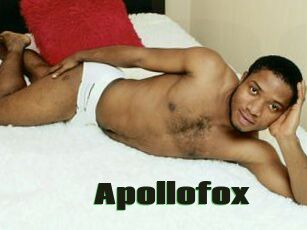 Apollofox