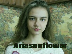 Ariasunflower