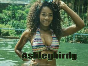 Ashleybirdy