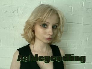 Ashleycodling