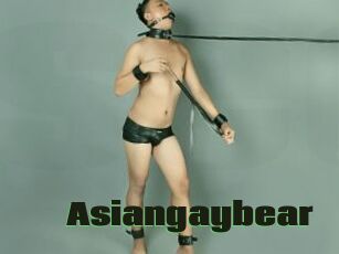 Asiangaybear