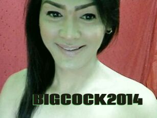 BIGCOCK2014