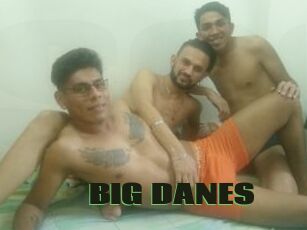 BIG_DANES