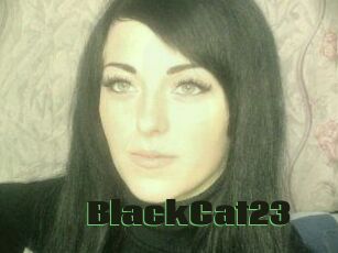 BlackCat23