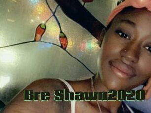 Bre_Shawn2020