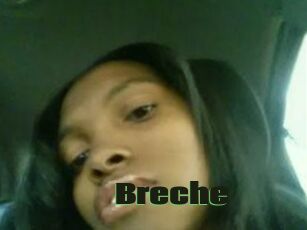 Breche