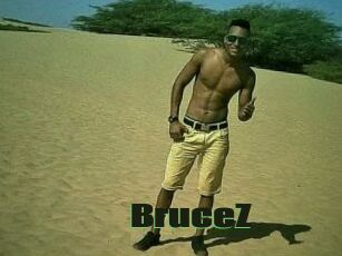 BruceZ