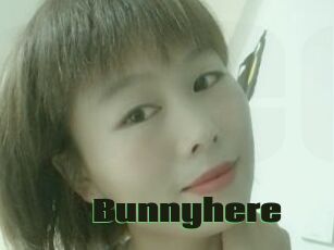 Bunnyhere