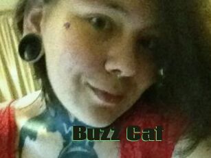 Buzz_Cat