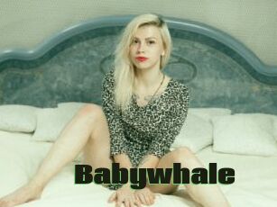 Babywhale