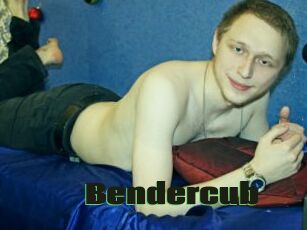 Bendercub