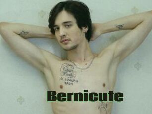 Bernicute