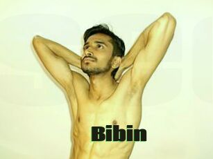 Bibin