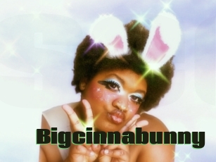 Bigcinnabunny