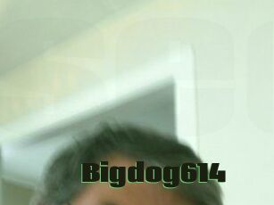Bigdog614