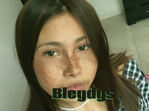 Bleydys