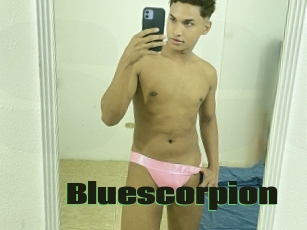 Bluescorpion