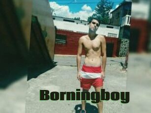 Borningboy