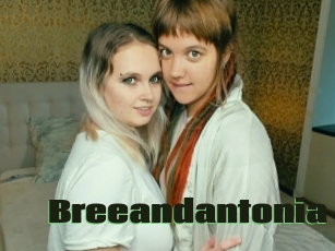 Breeandantonia