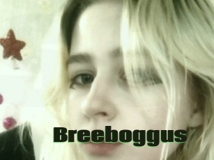 Breeboggus