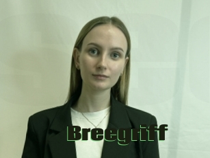 Breegriff