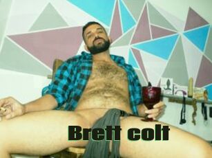 Brett_colt