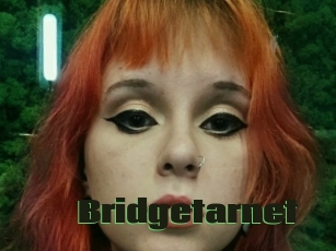 Bridgetarnet