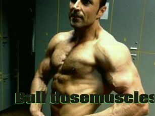 Bull_dosemuscles