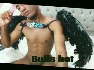 Bulls_hot