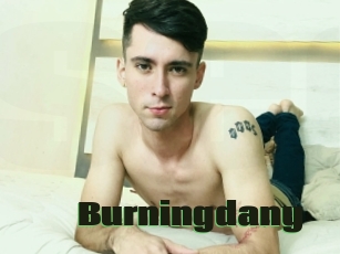 Burningdany