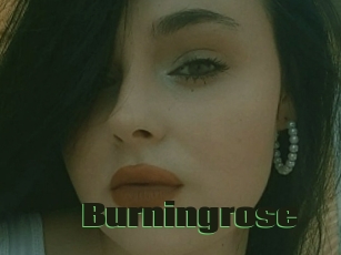 Burningrose