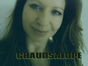 CHAUDSALOPE