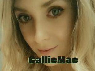 CallieMae